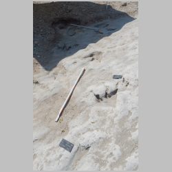 12-DSCN0510cr Two babies.jpg